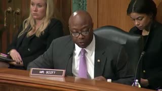 Tim Scott Buries Biden's Marxist Banking Nominee With Facts