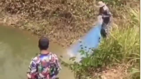 This is a beautiful and charming water-dwelling species