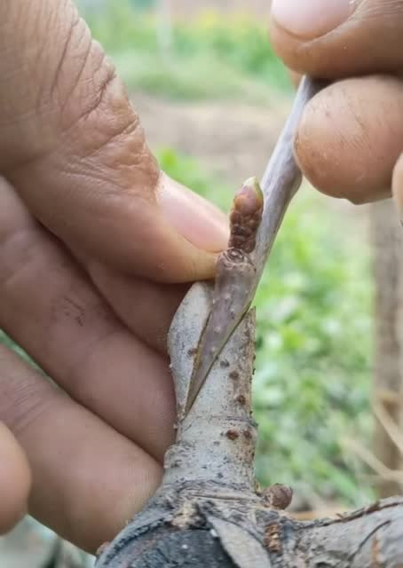 How to make a concrete outdoor stove