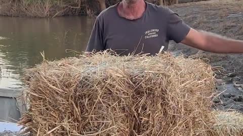 4 April 2022 NSW Floods 2.0 Dave Oneegs & Mark dropping out feed. Last run.