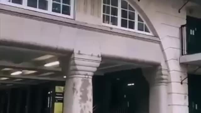 Amazing Climbing and jumping skill