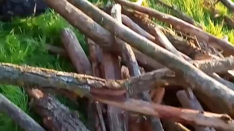 Сплав по реке Псел