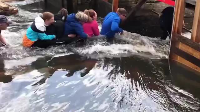 Unique, traditional rafting on Wild