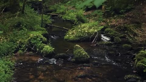 Which place gives you peace?