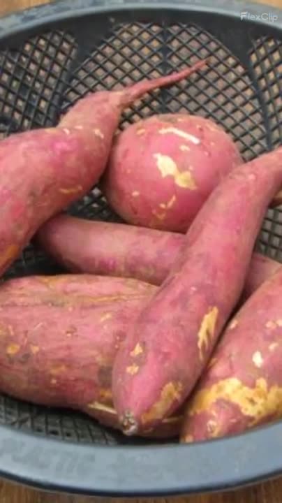 Many Benefits of Sweet Potato