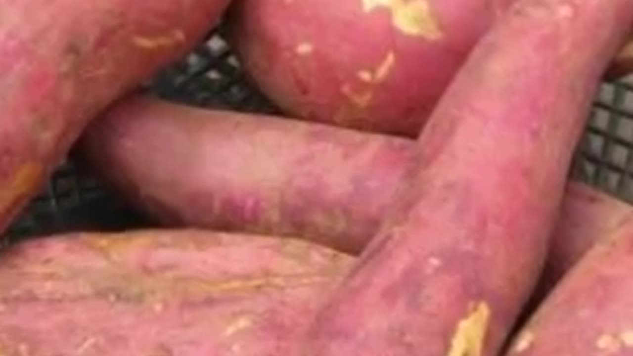 Many Benefits of Sweet Potato