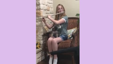 Funniest Dog Videos Of All Time