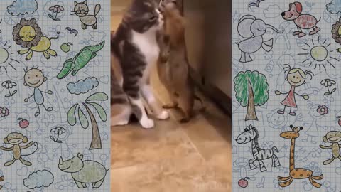 Funny Pets Animals - Animais Engraçados e Fofos - Parte #1