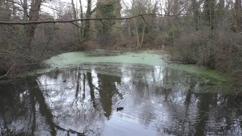 River / Rzeka