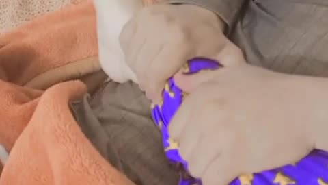 Lover Lyrics movement