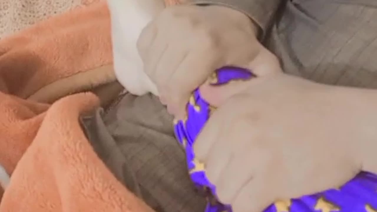 Lover Lyrics movement