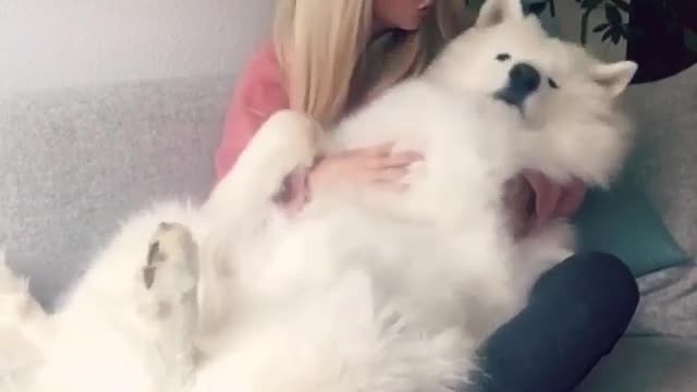 sleeping with dog