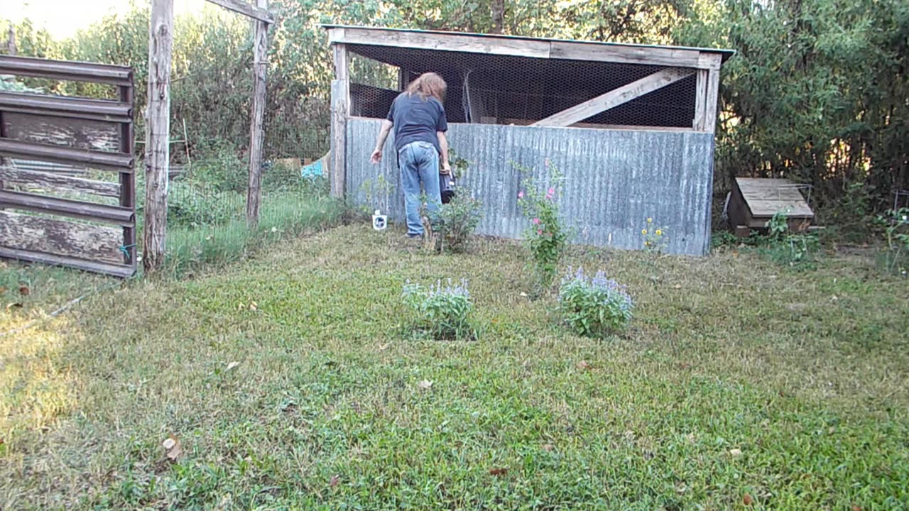 Filling Flower Bed with Clearance Plants