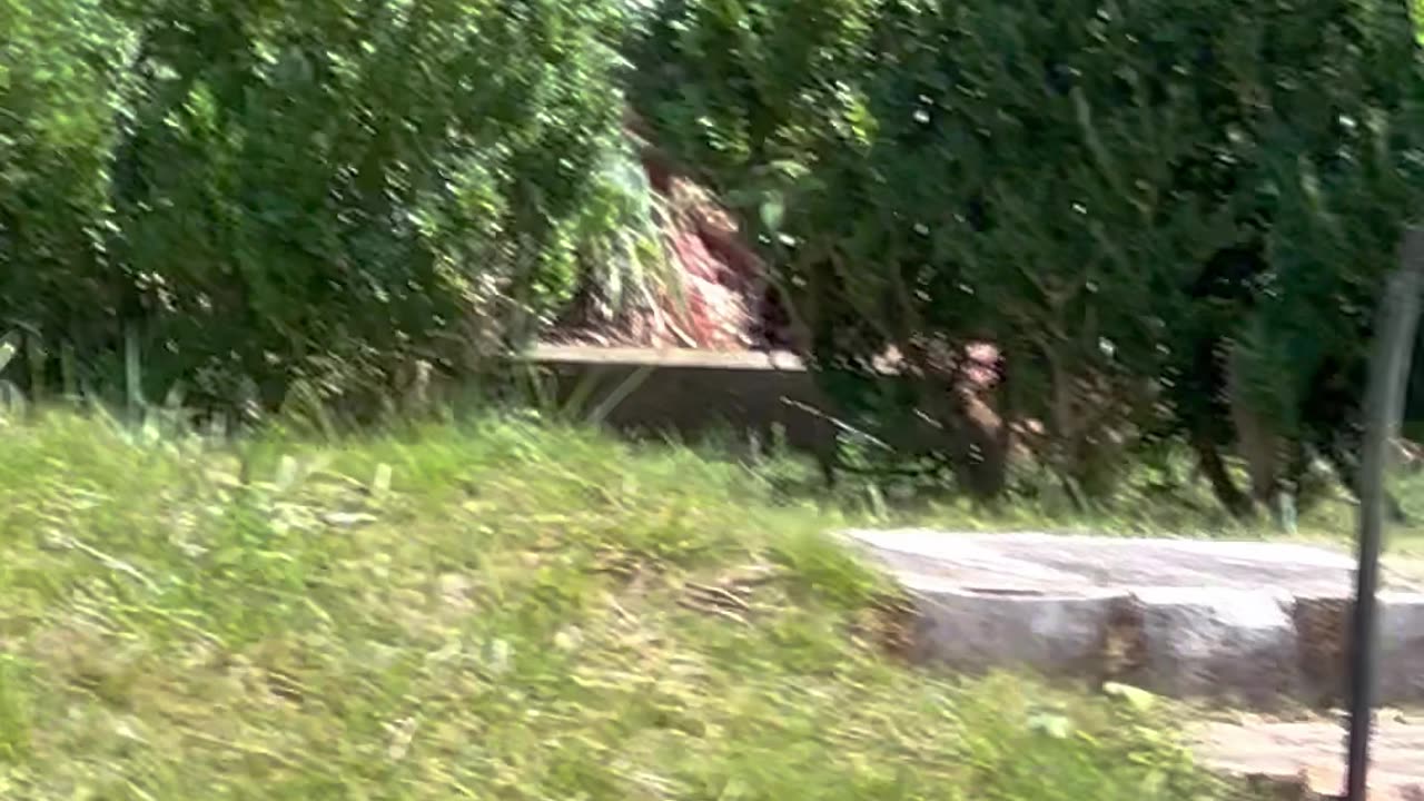 Huge tree falls across center of house😲