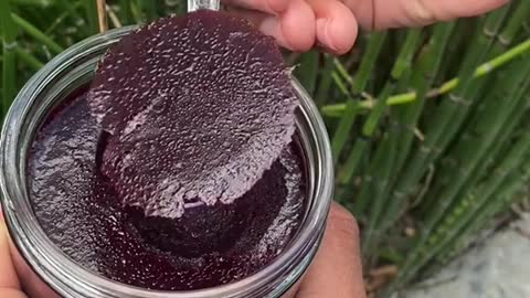 This is how your first scoop of sea moss should look
