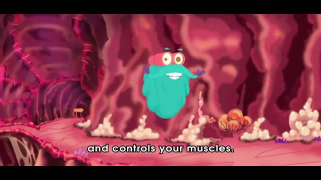 Do you know how the brain works?