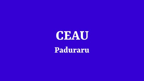 CEAU Gym Song Paduraru Aerobic Dance Fitness Music Workout Mix