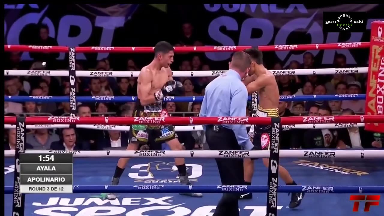 🇵🇭 DAVE APOLINARIO Vs ANGEL AYALA 🇲🇽 l Highlights l IBF Flyweight Title l August 10 2024