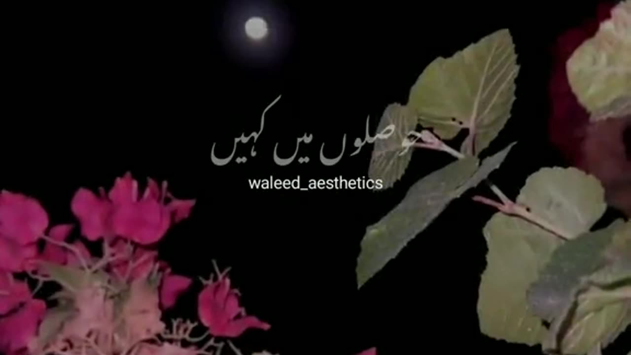 Beautiful poetry||Love and love 💕💕💕