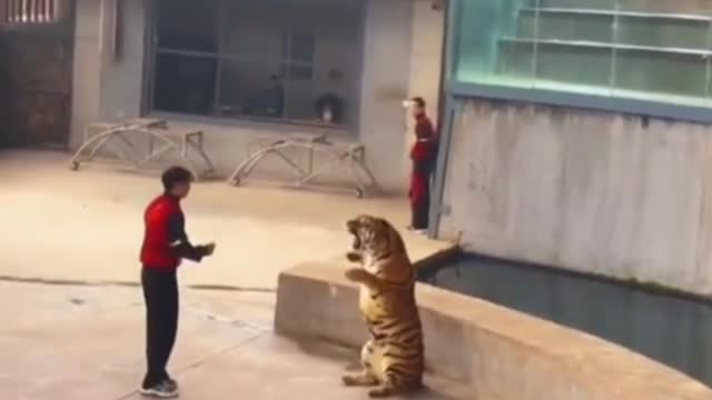The big cat is scared!!