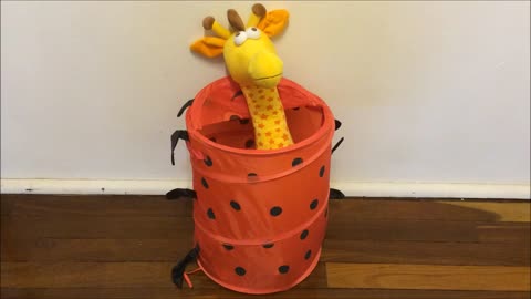 Kids Pop Up Animal Hamper