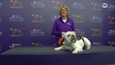 Watch Rudy the Bulldog