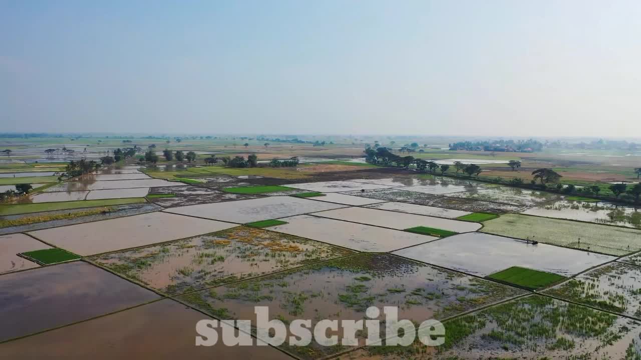 aerial view Rice field Terraces panoramic hillside with rice farming on mountains