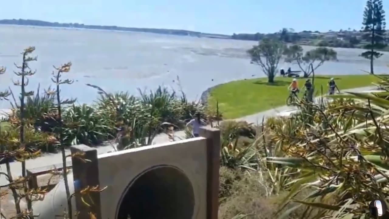 Snakes and Ladders Park Auckland New Zealand Tour