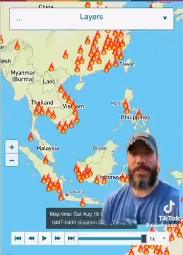 wild fires globally