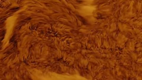 Our Sun is incredible!!!
