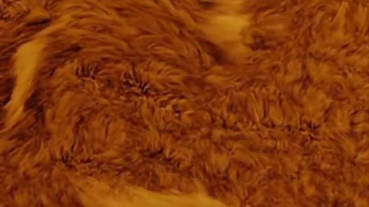 Our Sun is incredible!!!