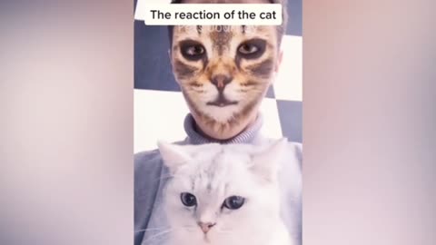 New funny animals 2024 🤣 funniest cats and dog videos 🤔🤪🤓