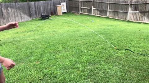 Puppy Takes Control Of Wild Hose!