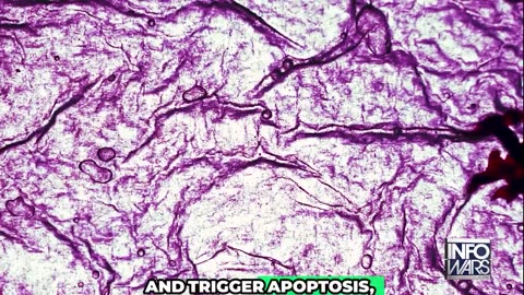 Ivermectin Can’t Be Stopped