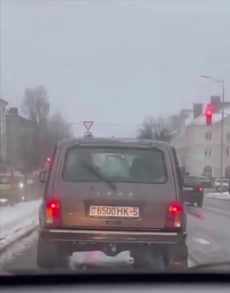 How to interest a dog