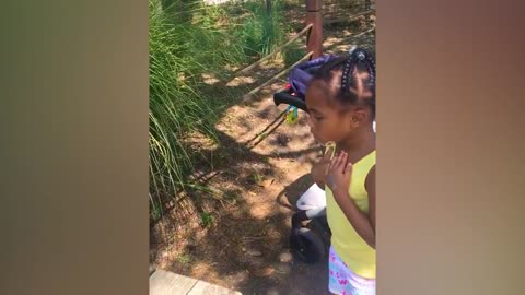 Funny Babies At The Zoo - LAUGH TRIGGER