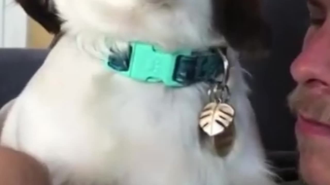 Try not to laugh 😂