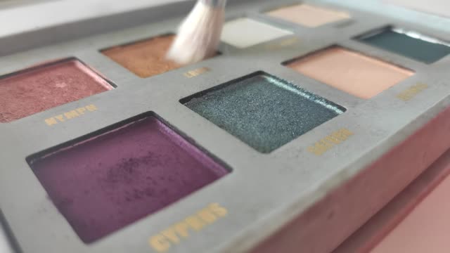 Cosmetics Makeup Palette Brush