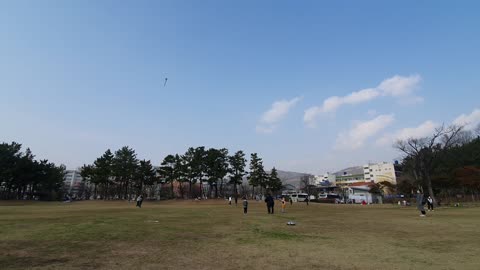 a kite-flying person in the park