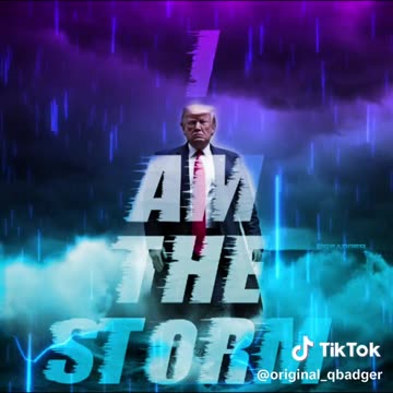 Trump is The Storm - QBADGER Memetics