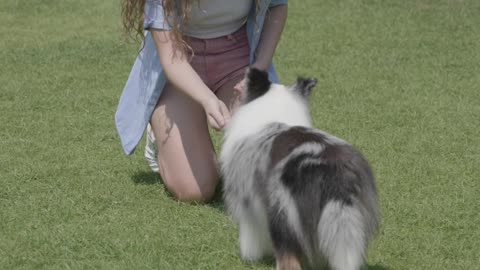 woman-training-her-dog