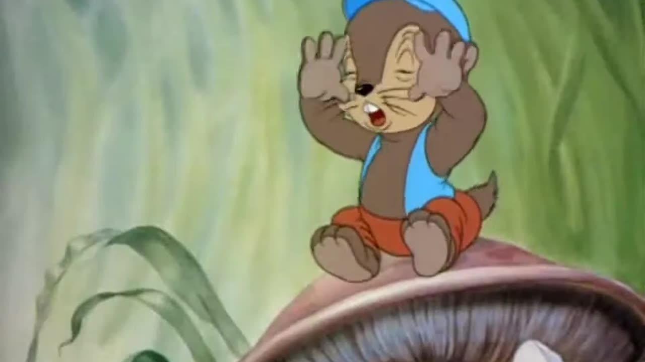 MGM Cartoons - 1941x03 - The Little Mole