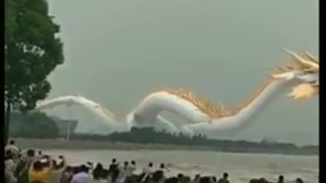 TikTok CHINESE DRAGON! 😮😱