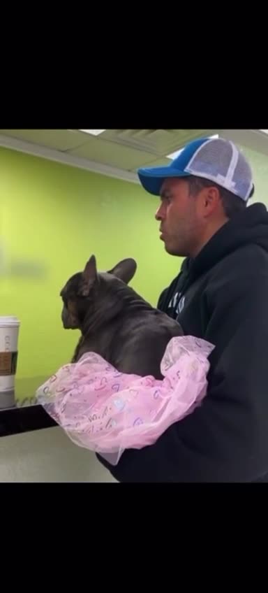 Man brings Dog wearing a tutu to Veterinarian Clinic so it can get Gender Transition Surgery