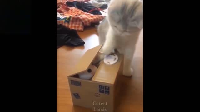 Cute And Funny Pets | Try Not To Laugh To These Pets #02