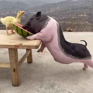 Let's breakfast with me my friends