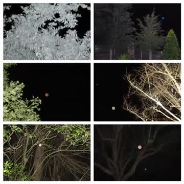 Orbs and Trees