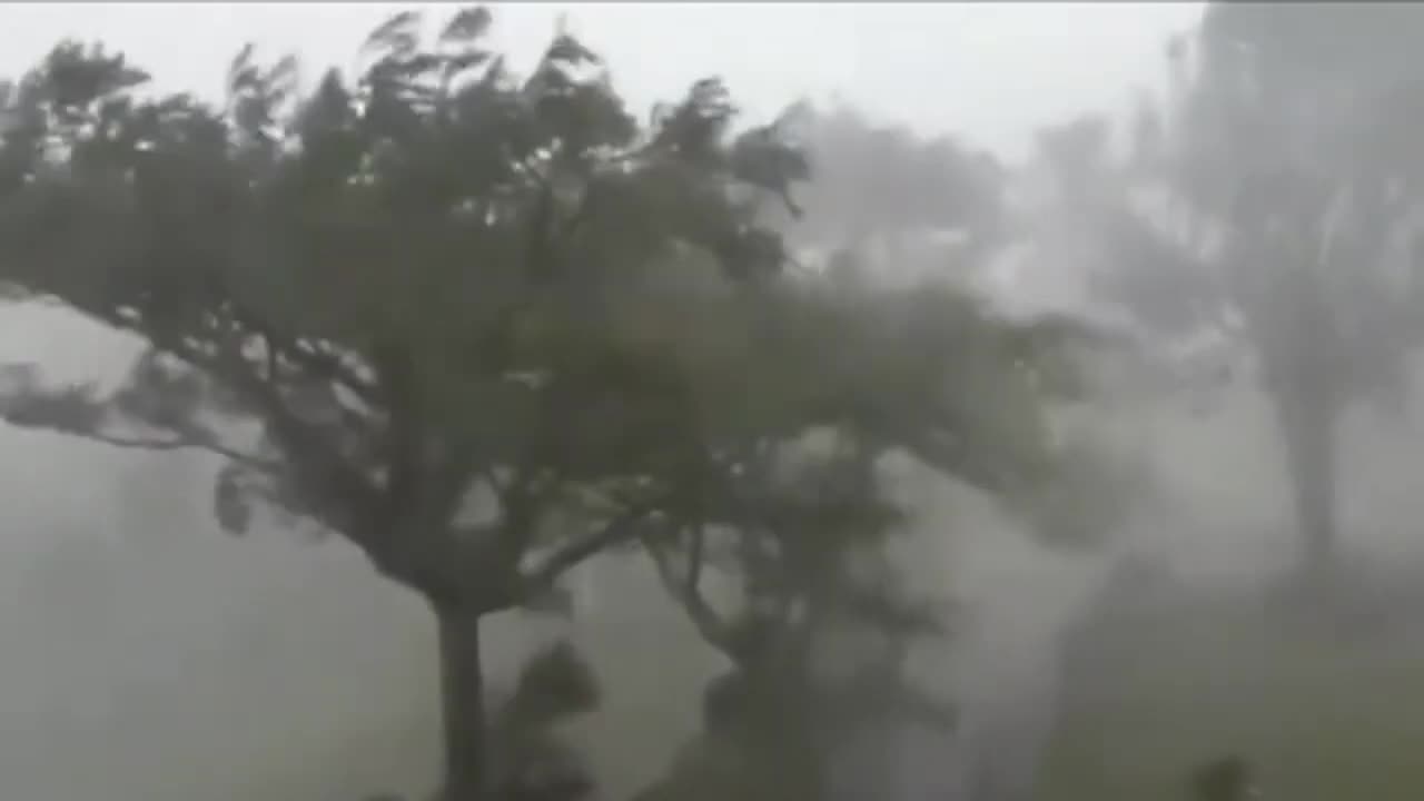 The Florida will be end ! The deadliest tropical storm fred is already blow on the Gulf Coast