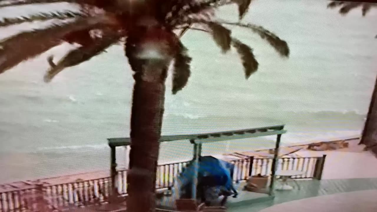 Tampa Bay storms 1994 and Clearwater