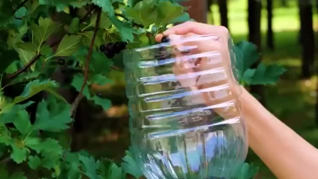 Clever ways to reuse and recycle empty plastic bottles